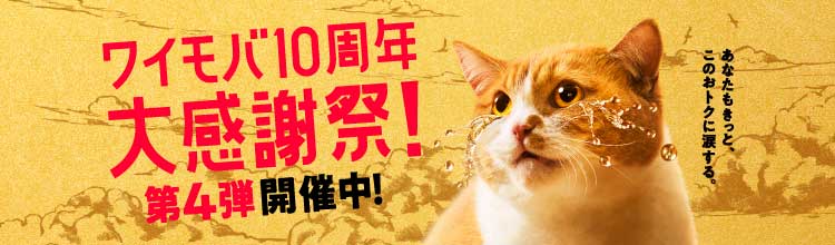 【10周年！】ワイモバイル10周年キャンペーン第4弾