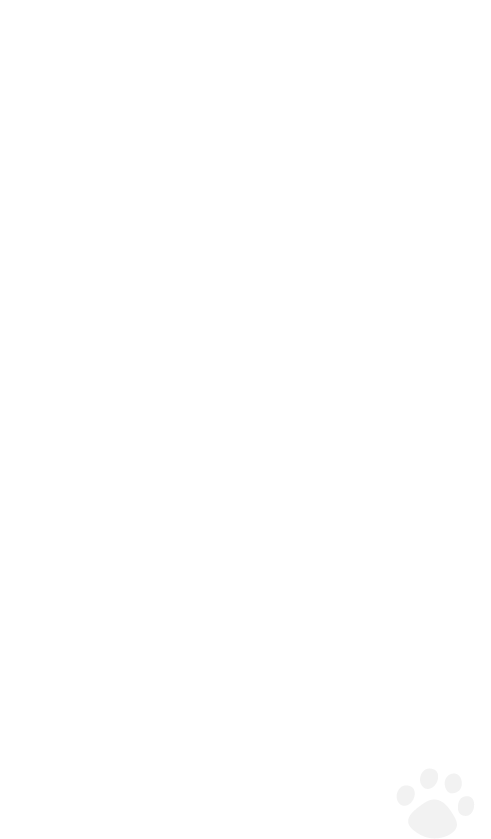 「ネットの生み出す楽しさ・便利さをみんなの手元に届ける」というコンセプトとともに誕生したワイモバイルは、今年で10周年を迎えます。ここまで歩みを進めることができたのは、いつも支えてくださる皆さまのおかげです。本当にありがとうございます。これからも、ワイモバイルをよろしくお願いします。