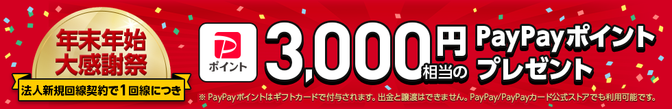 【年末年始 大感謝祭】法人新規契約でPayPayポイントプレゼントのPC用バナー画像