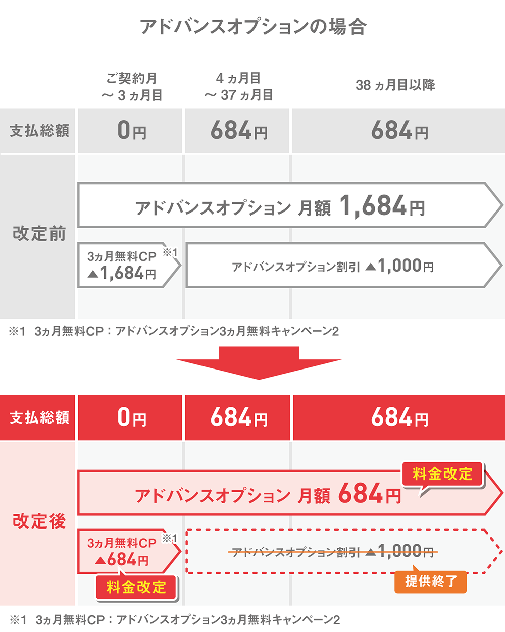 お支払いイメージ アドバンスオプション月額料