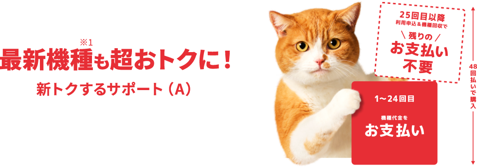 新トクするサポート（A）