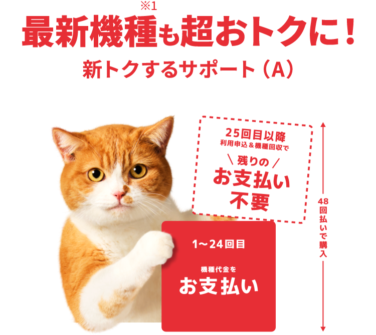 新トクするサポート（A）