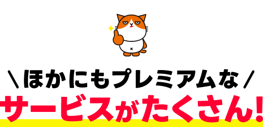 他にもプレミアムなサービスがたくさん！