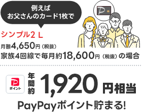 例えばお父さんのカード1枚で