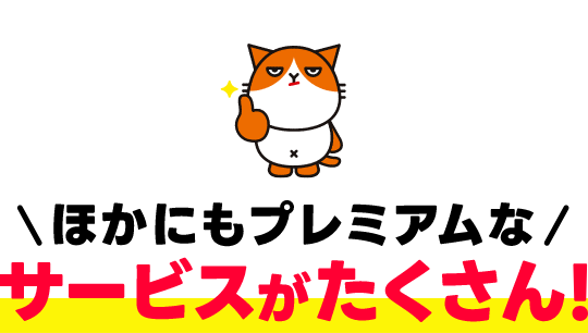 他にもプレミアムなサービスがたくさん！