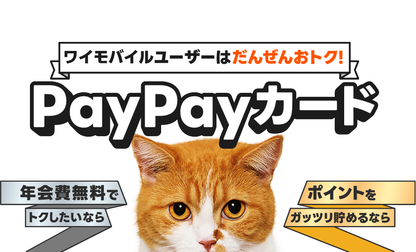 ワイモバイルユーザーはだんぜんおトク！PayPayカード