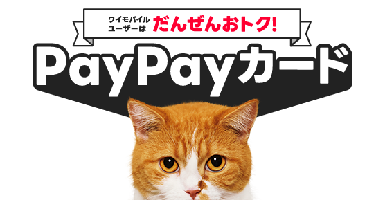 ワイモバイルユーザーはだんぜんおトク！PayPayカード