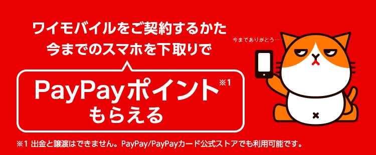 PayPayポイントもらえる