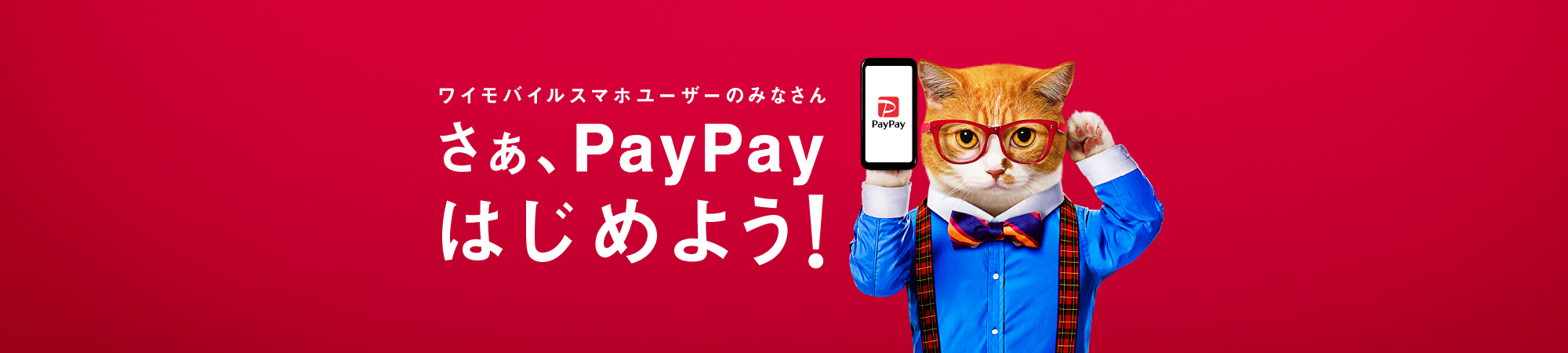 ワイモバイルスマホユーザーにもっとPayPayあげちゃう！