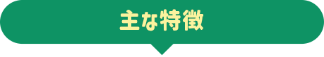 動画でまるっと解説