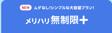 メリハリ無制限+